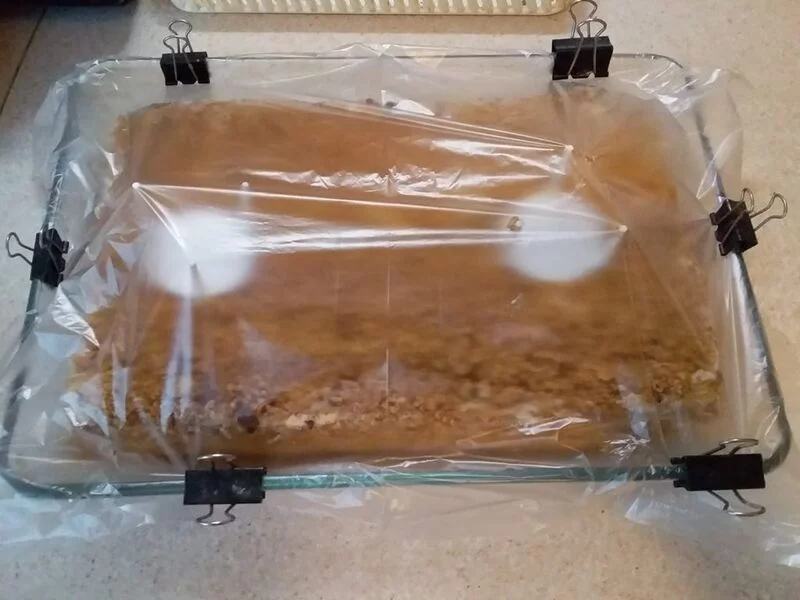 Что Вы сейчас едите? Фотоблог с вашего стола