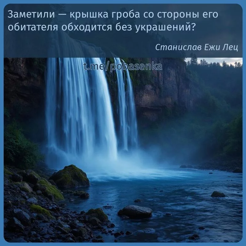 «Заметили — крышка гроба со стороны его обитателя обходится без...» height="550" width="550"