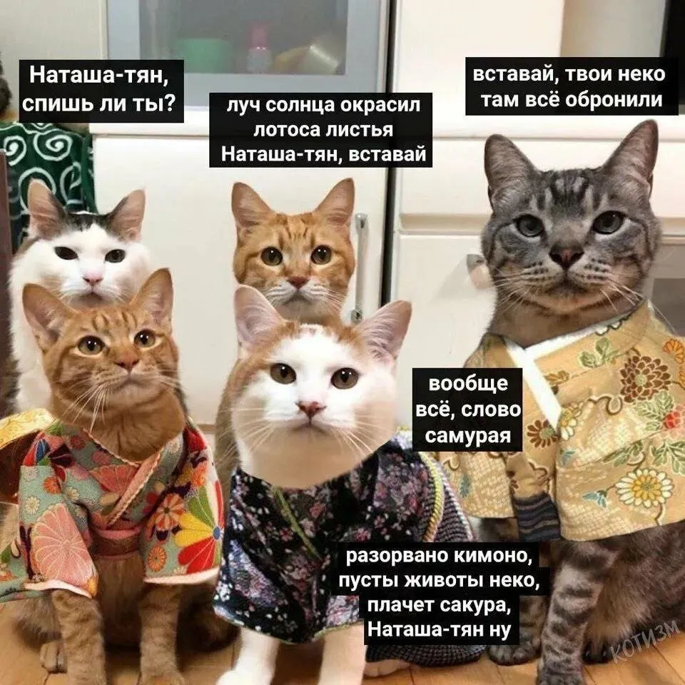 Кошичкина полиция