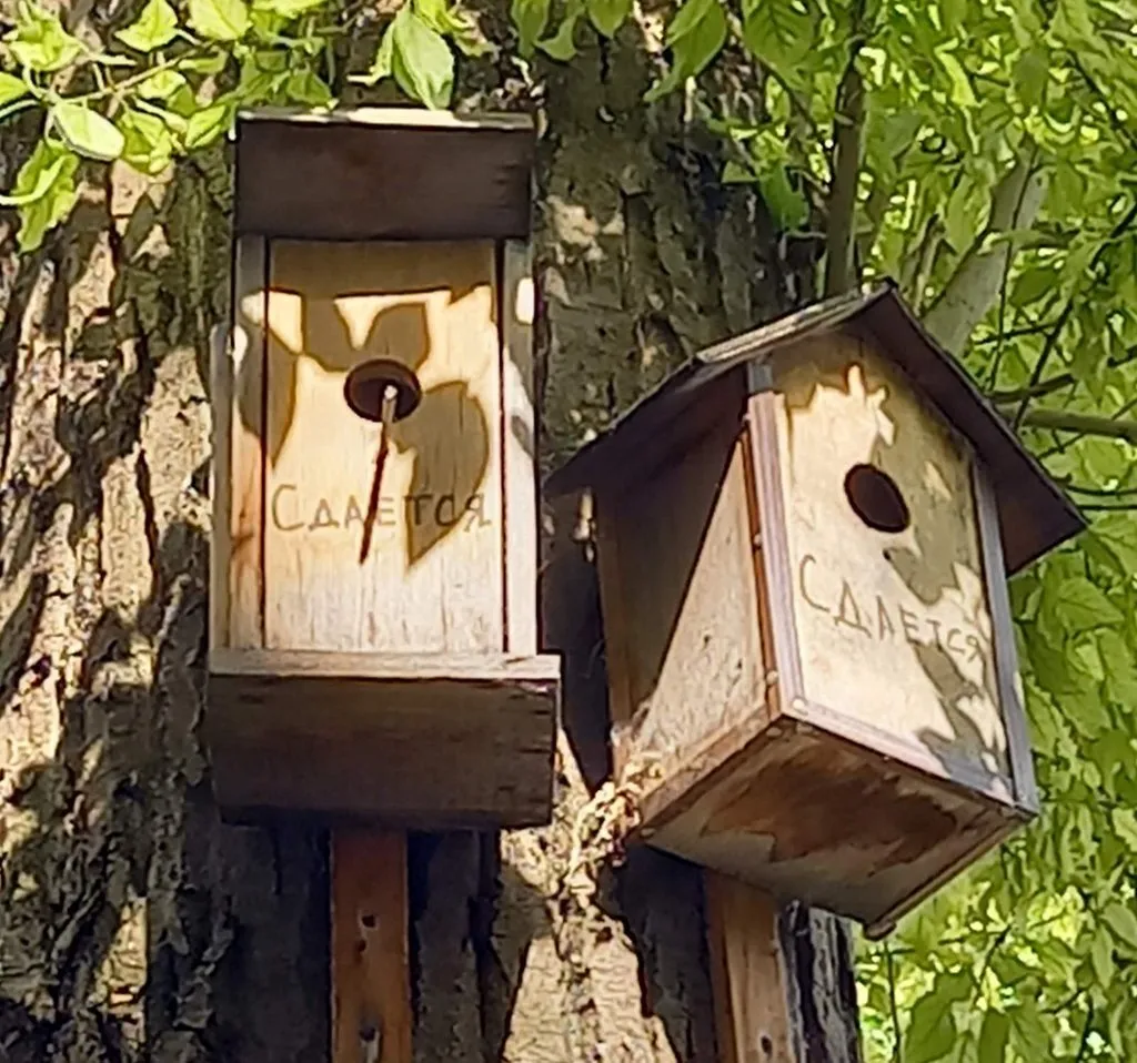 Чайная беседка