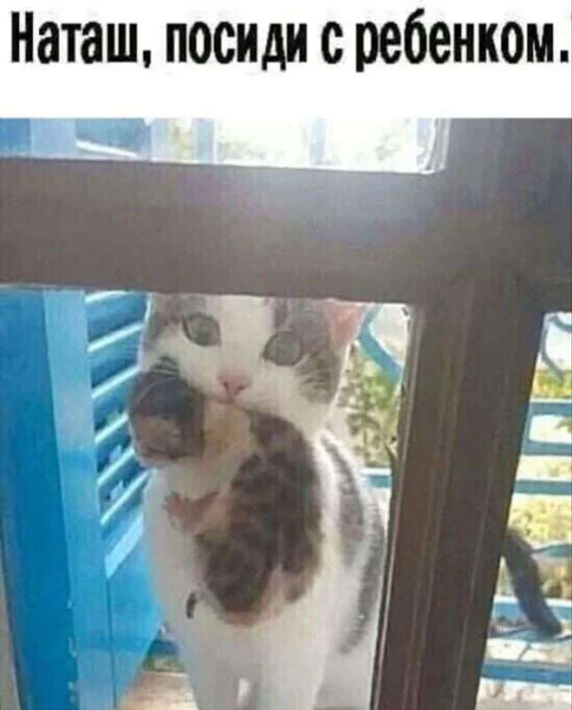 Посмеялся сам - поделись с другом!!!