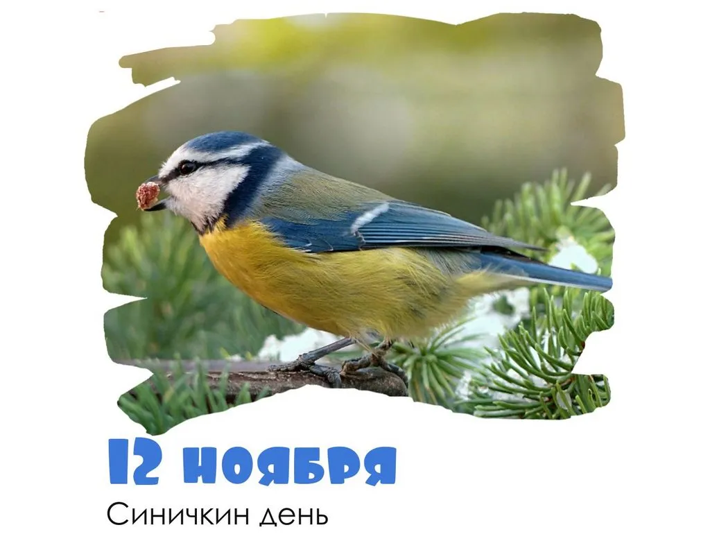 Кафе «У пани Сони»
