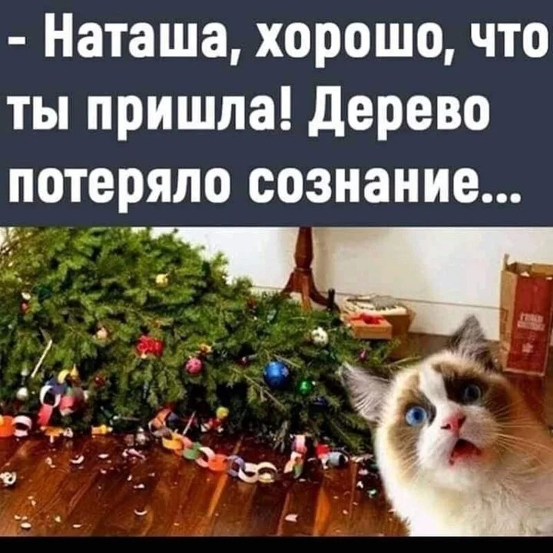 Посмеялся сам - поделись с другом!!!