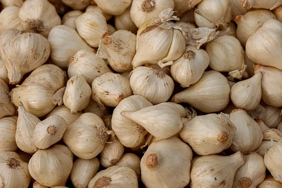  Молекулярная точность плюс биотехнология: внедрение инноваций и улучшение вкуса