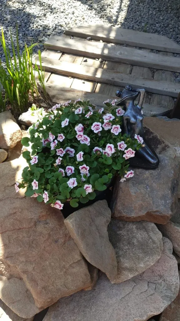 Чайная беседка