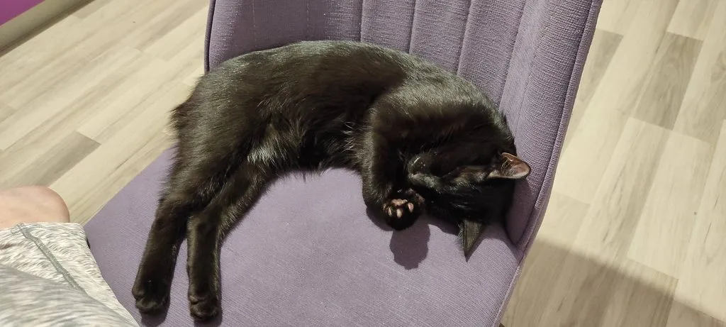 Tapтaлeтки & Ко