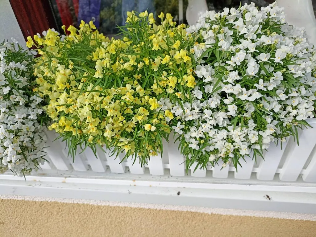Калининградская область (не только море и янтарь) 