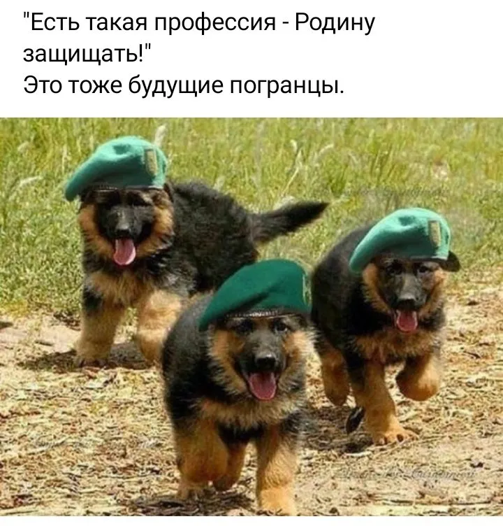 Позитивчик (фото, видео, рассказы для хорошего настроения)