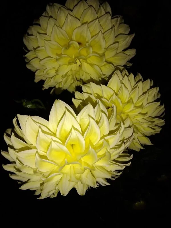 Чайная беседка