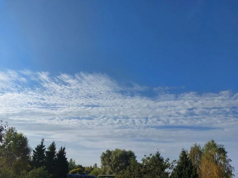 Такое разное небо