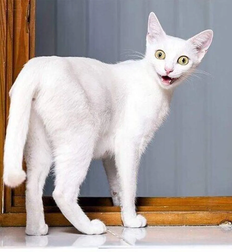 Рассказы для души