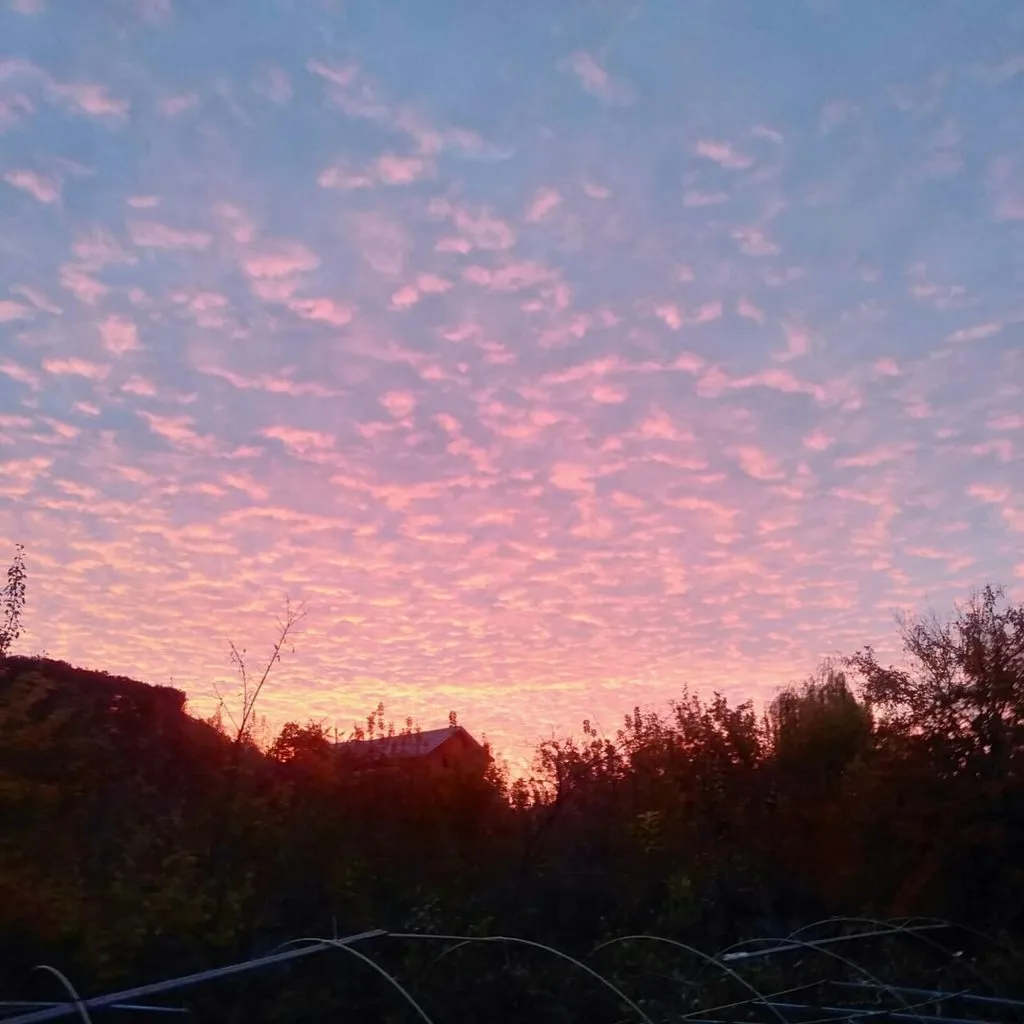 Чайная беседка