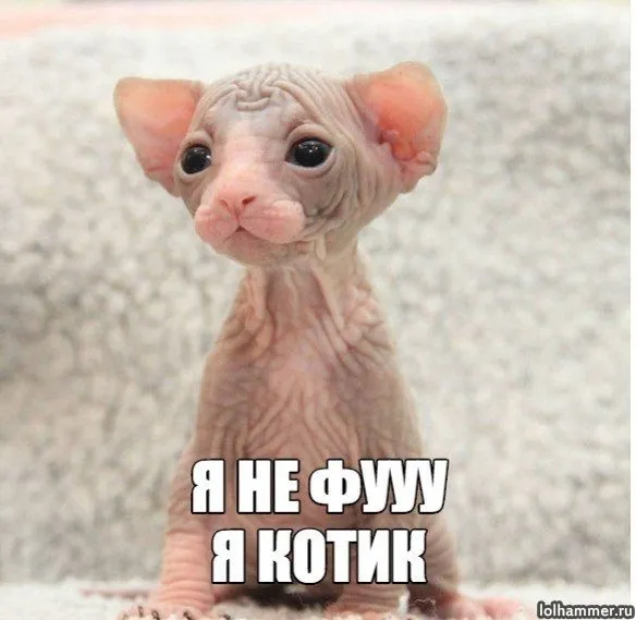 Посмеялся сам - поделись с другом!!!