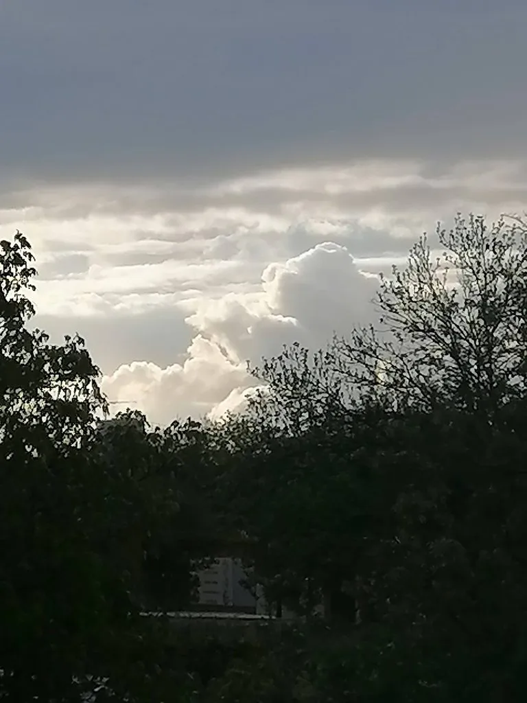 Такое разное небо