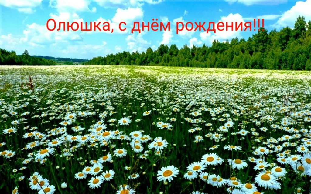 Tapтaлeтки & Ко