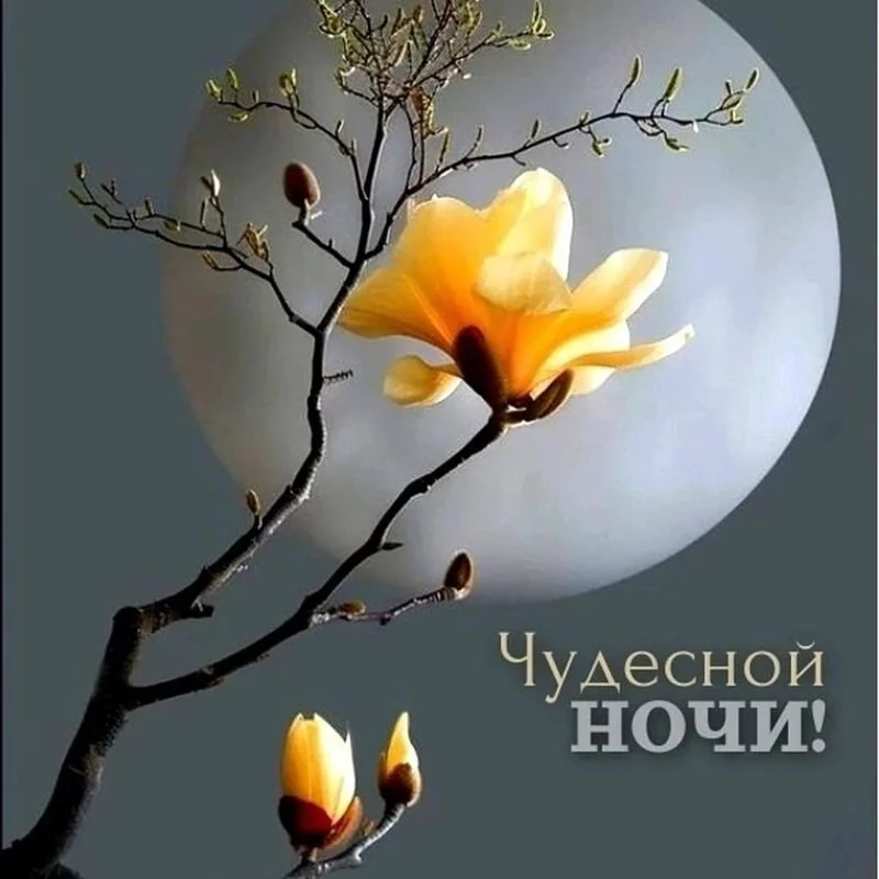 Кафе "У пани Сони"