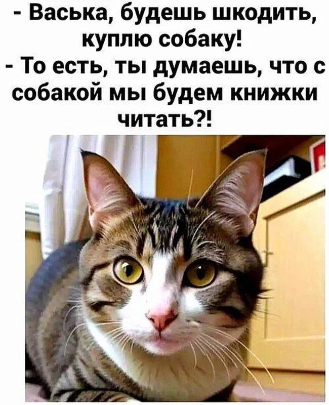 Посмеялся сам - поделись с другом!!!