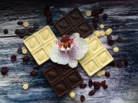 Tapтaлeтки & Ко