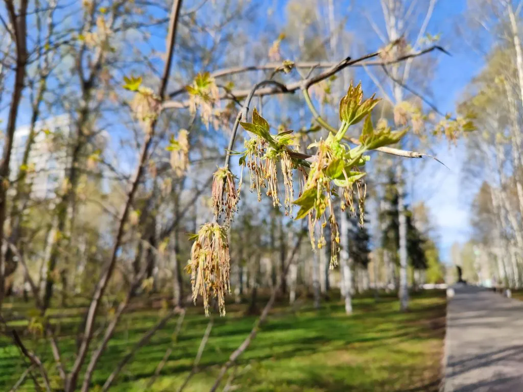 Фотонастроение