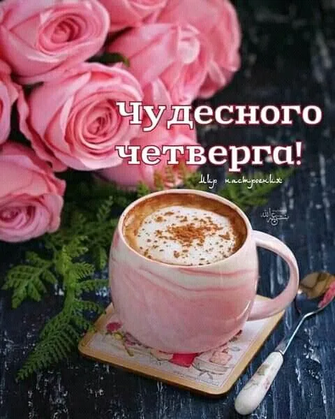 Tapтaлeтки & Ко