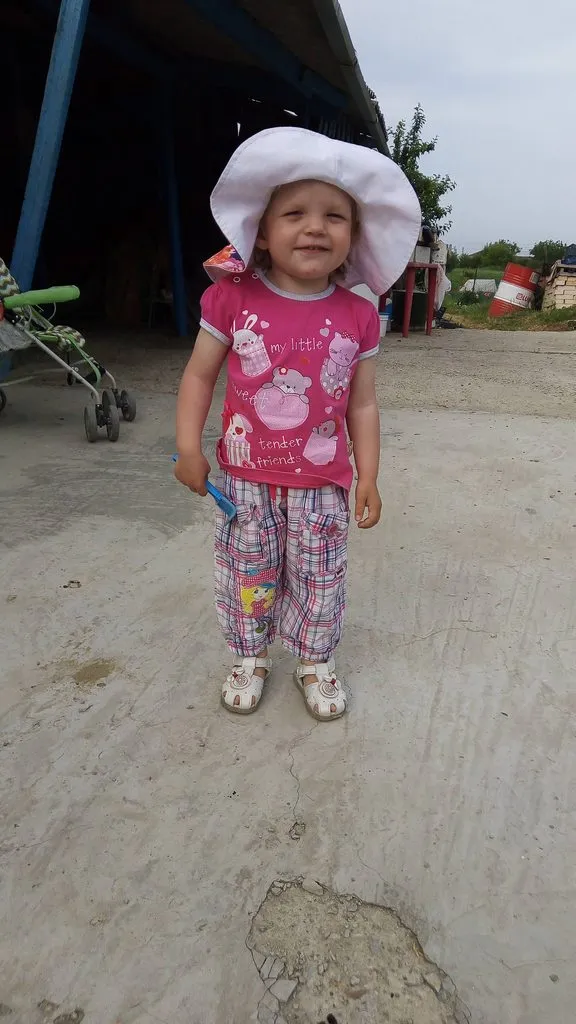 Чайная беседка