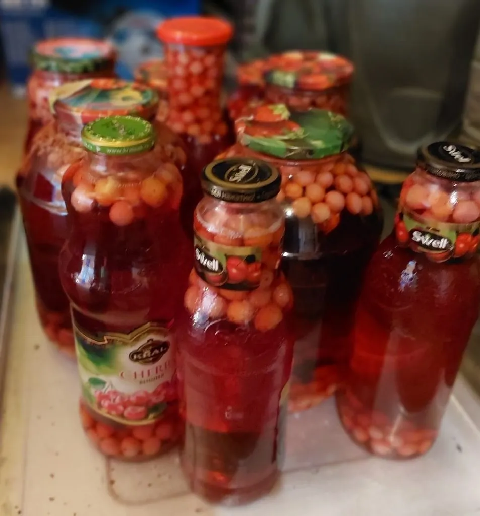 Кафе «У пани Сони»