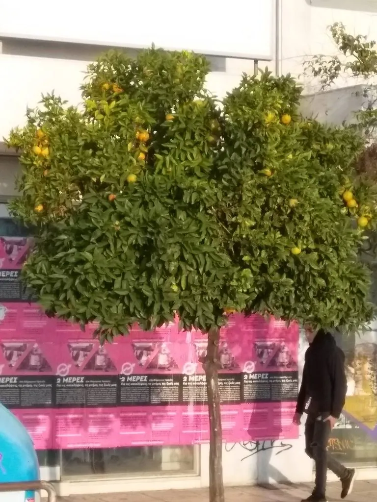 Чайная беседка