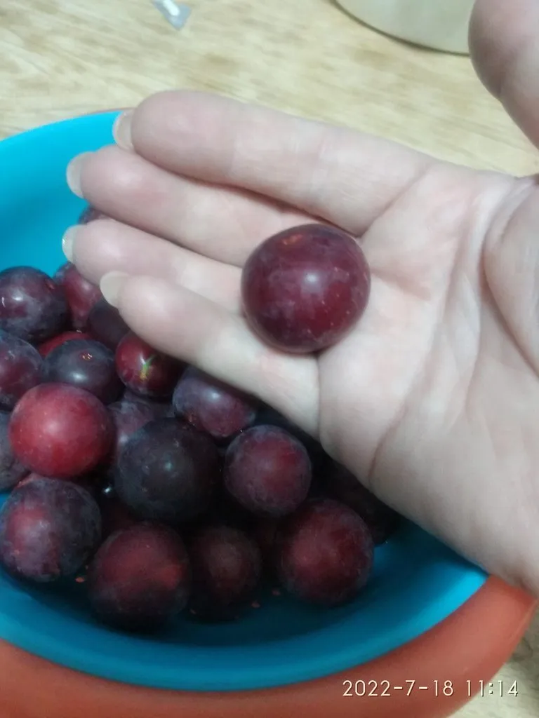 Кафе «У пани Сони»