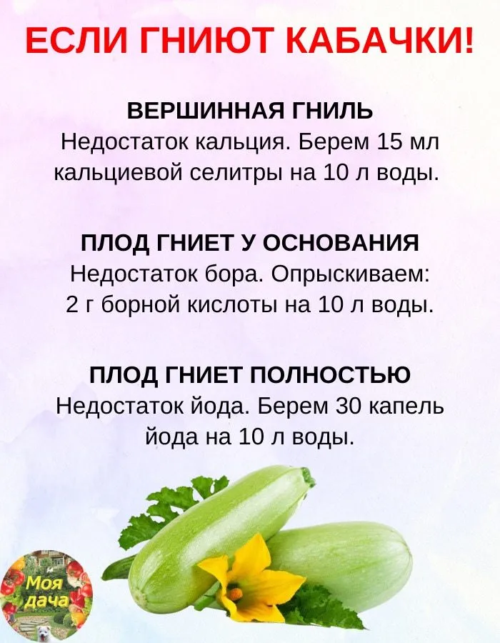 Сажаем, растим, собираем урожай…