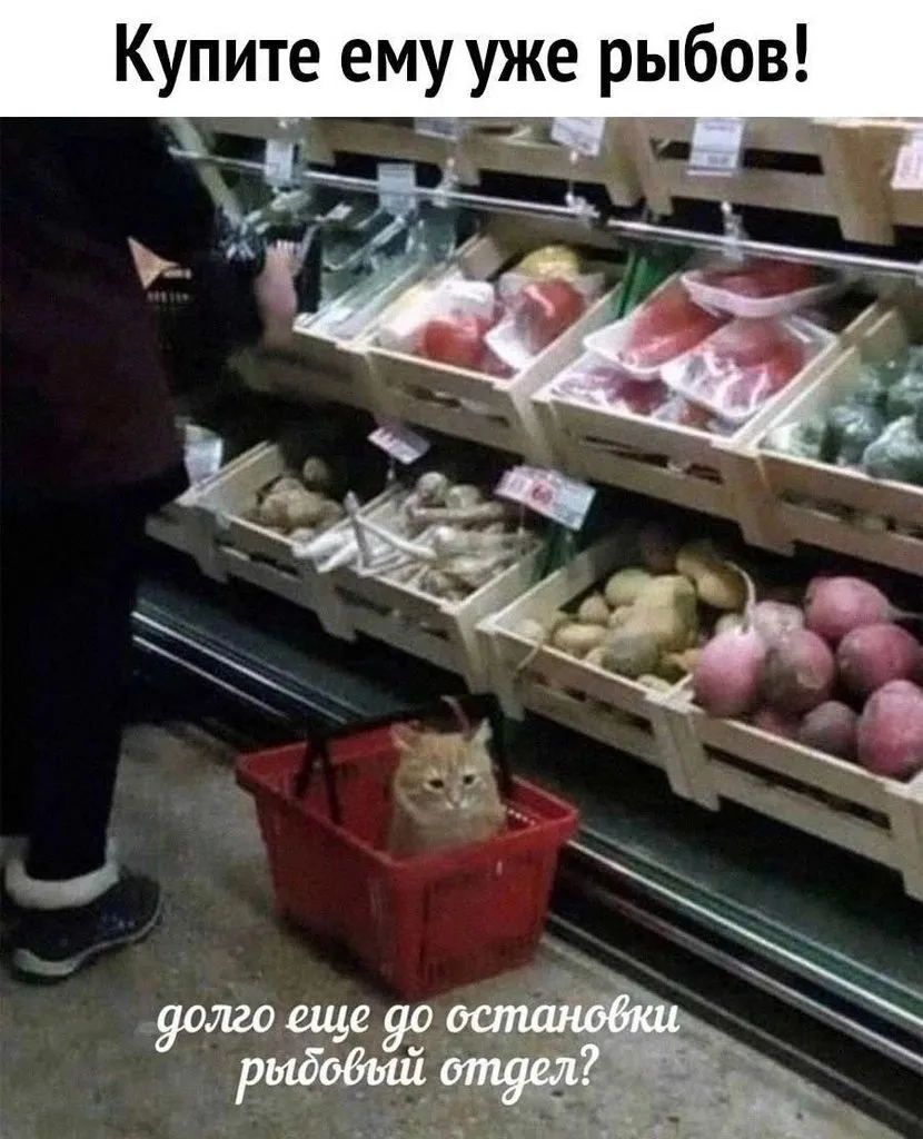 Кошичкина полиция