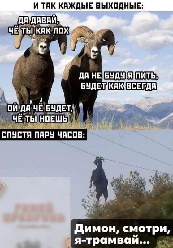 Посмеялся сам - поделись с другом!!!