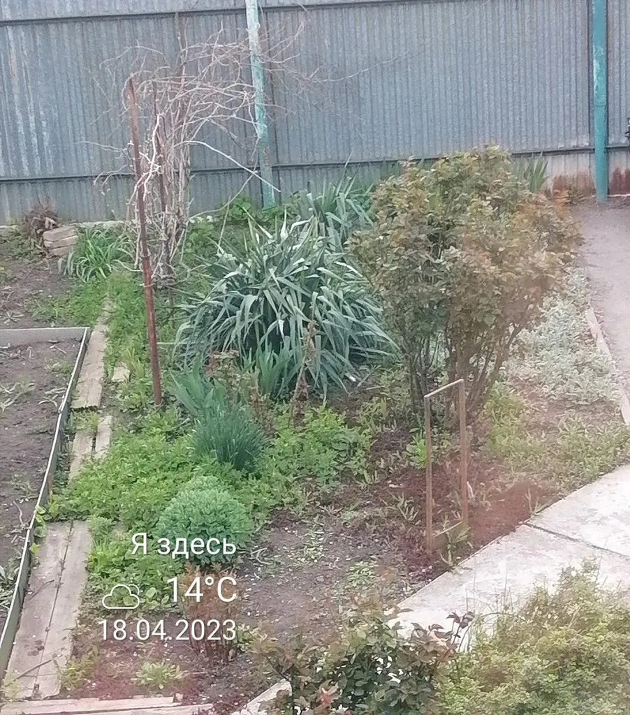 Чайная беседка