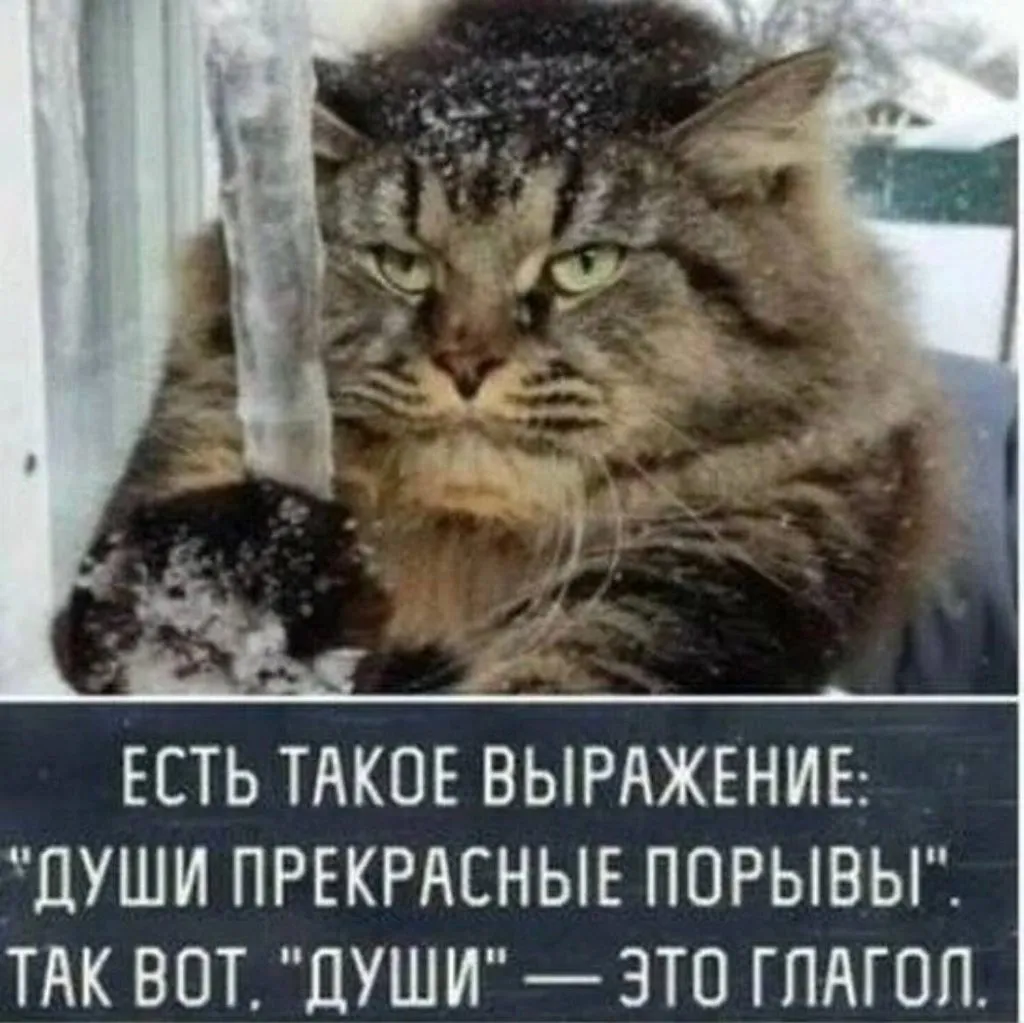 Посмеялся сам - поделись с другом!!!