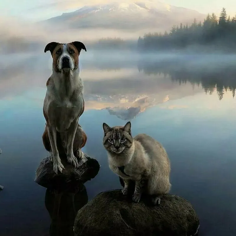 Рассказы для души