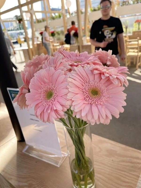 Чайная беседка