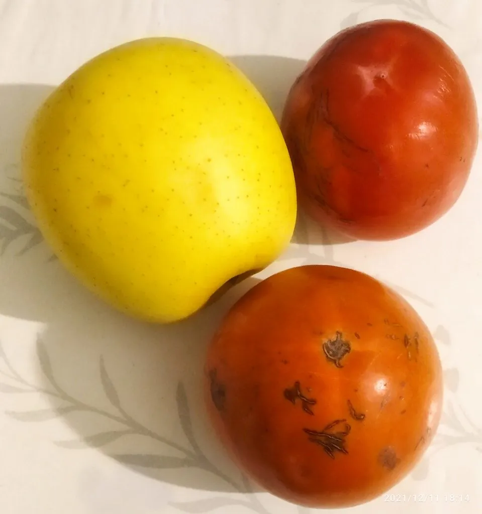 Tapтaлeтки & Ко