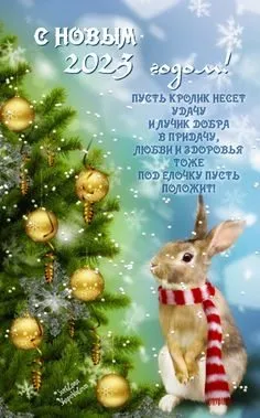 Чайная беседка (2023)