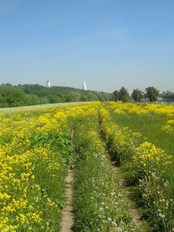 Коломенское