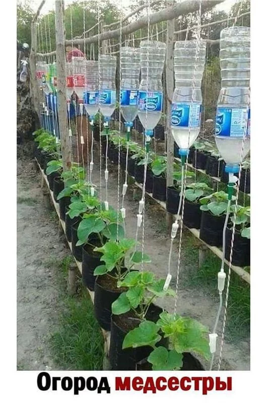 Посмеялся сам - поделись с другом!!!