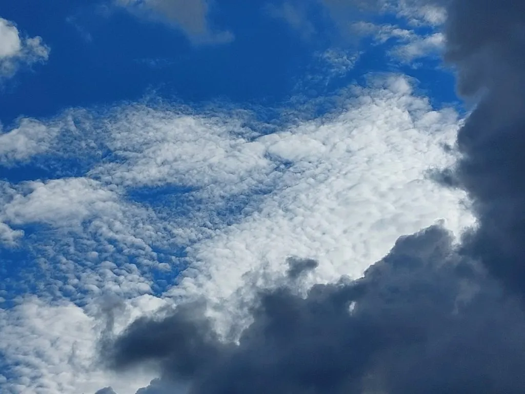 Такое разное небо