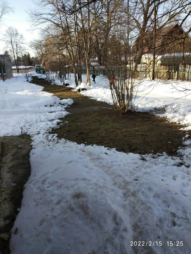 Tapтaлeтки & Ко