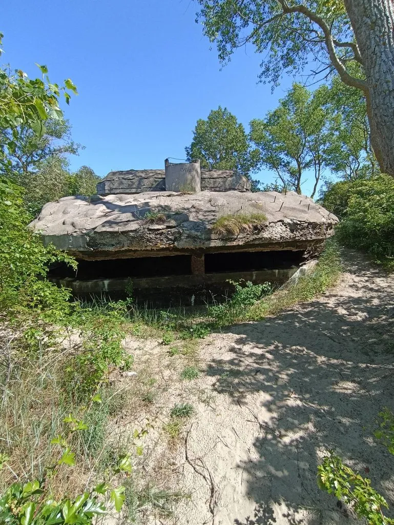 Калининградская область (не только море и янтарь) 