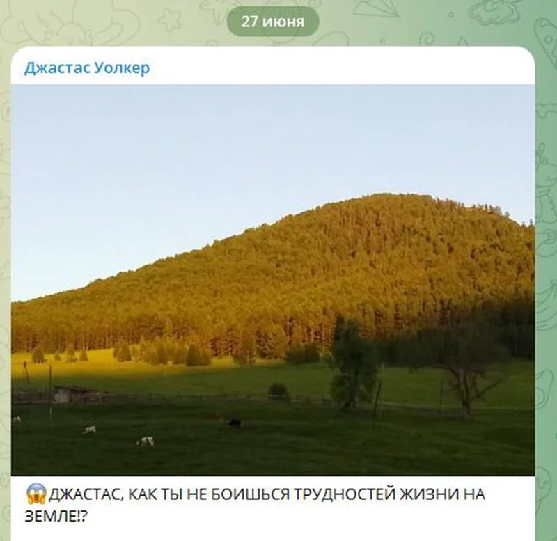 Школа или семейное обучение?