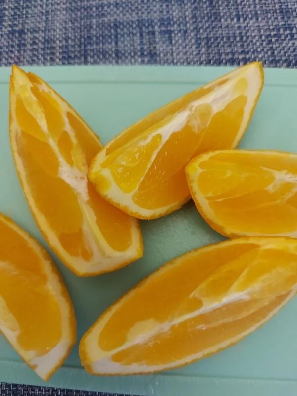 Где, что и когда купить в Москве