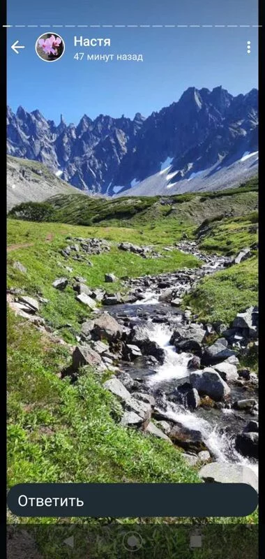 Чайная беседка