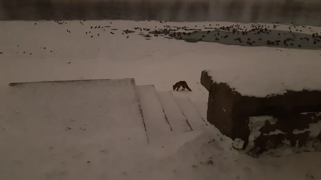 Коломенское