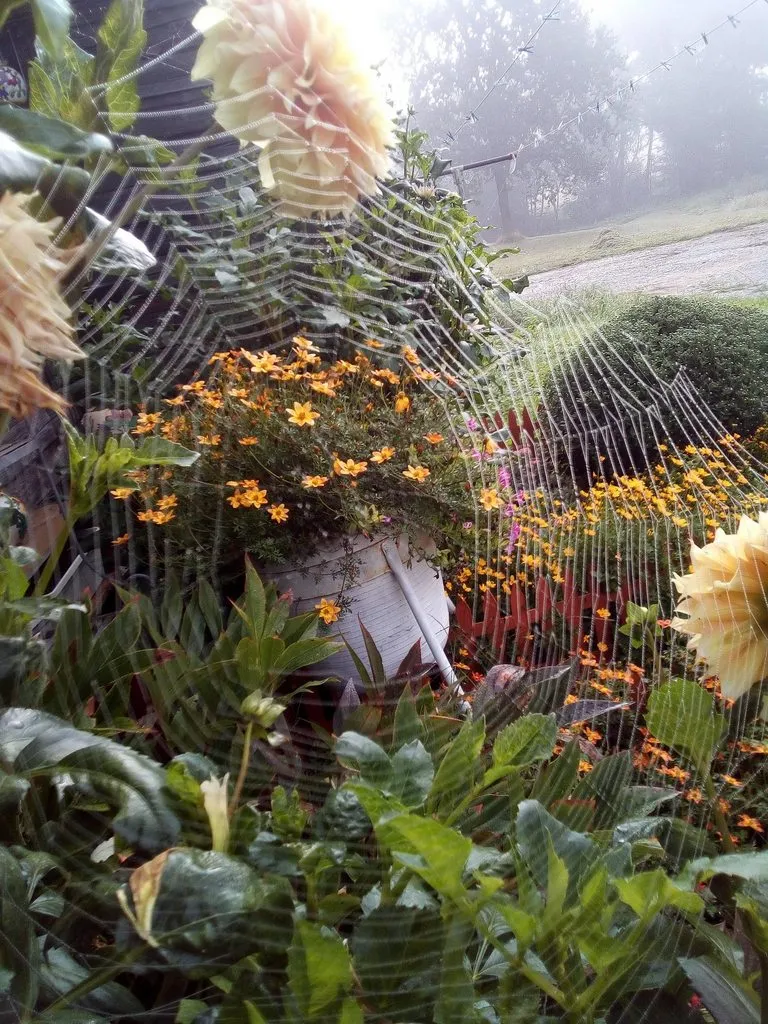 Чайная беседка