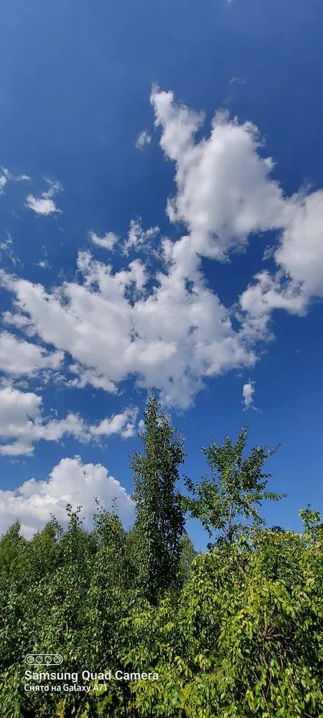 Чайная беседка