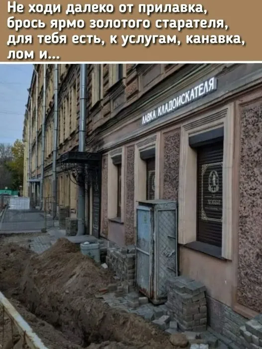 Всюду рифмы