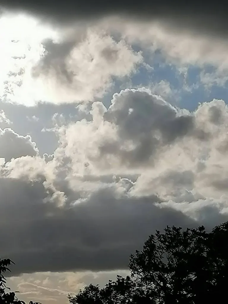 Такое разное небо